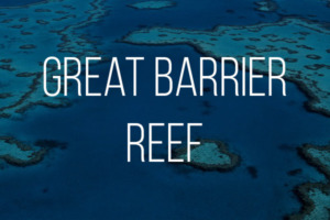 East Coast Reefs and Beaches Group Tour AustraliaGreat Barrier Reef Overlay