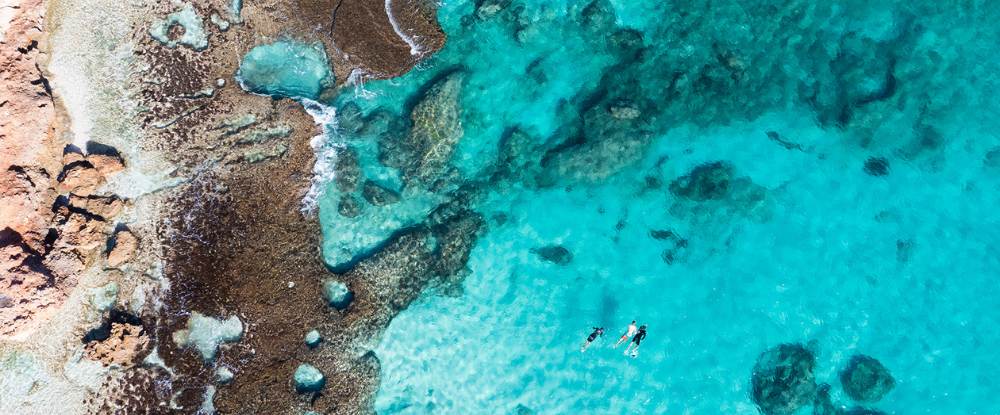 West Coast Snorkel