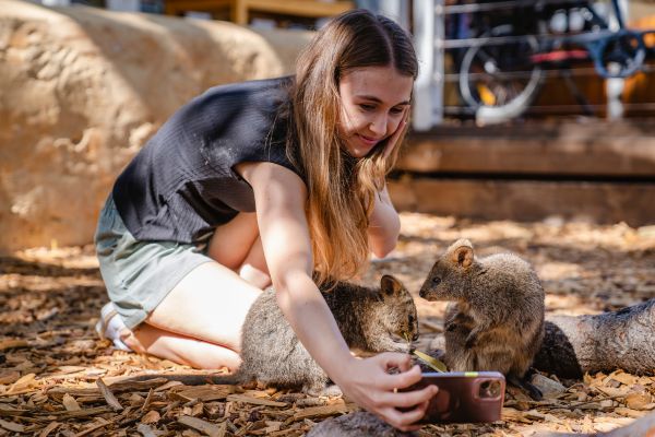 West Coast Group Tour Quokka Hero
