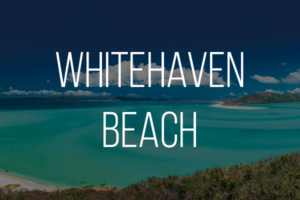 East Coast Reefs and Beaches Group Tour AustraliaSurfers Paradise OverlayWhitehaven Beach Overlay