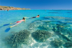 australia_wa_coral_bay_snorkelling