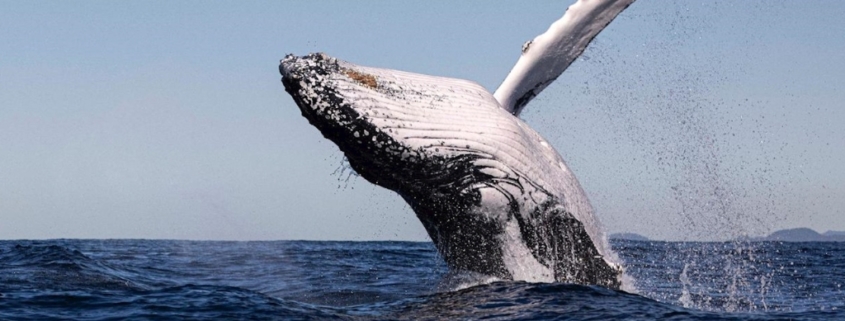 is-winter-a-good-time-to-visit-australia/