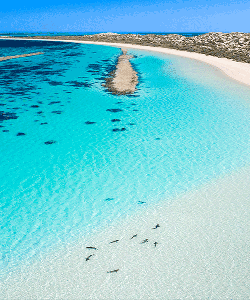 West-Coast-Australia-Group-Tour-Ultimate-Adventure-Travel