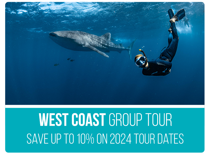 West-Coast-Group-Tour-Sale