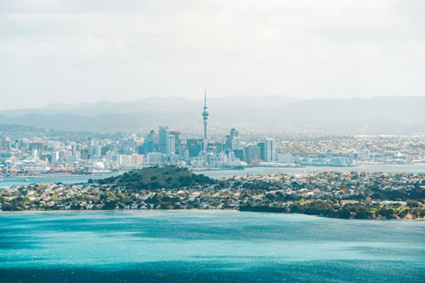 new zealand group tour auckland