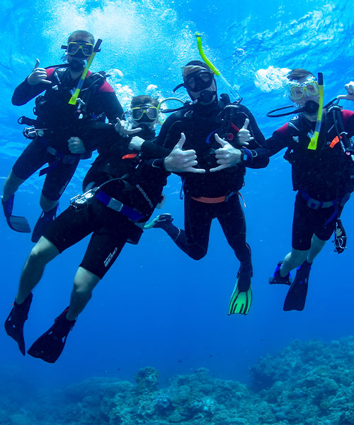Great-Barrier-Reef-Mobile-Course-Padi