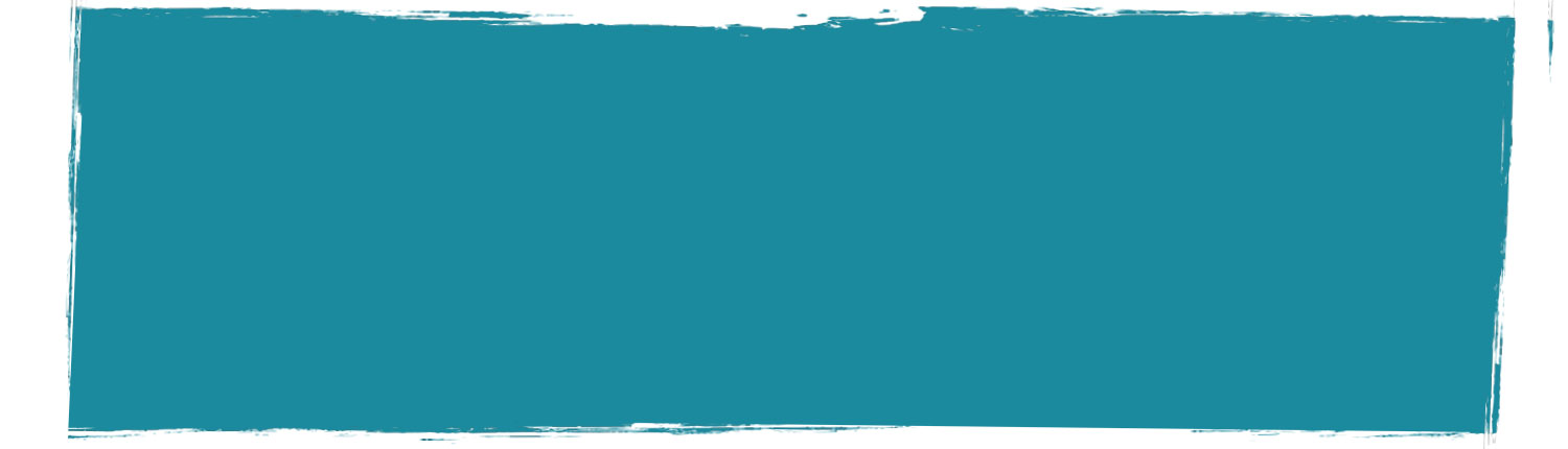 New-Zealand-Bus-Pass-Headers