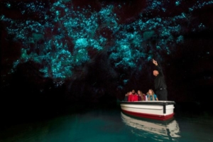 New Zealand Group Tour Waitomo