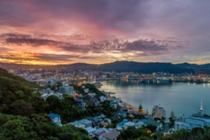 New Zealand Group Tour Wellington