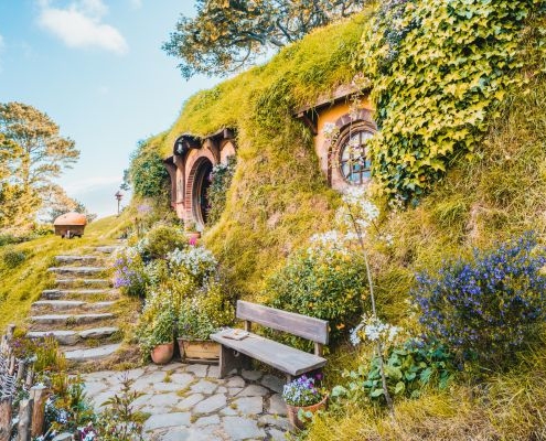 New Zealand Travel Passes