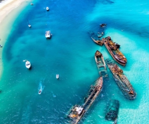 moreton island cruise