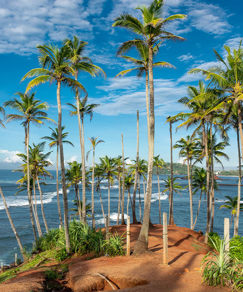 Sri Lanka Group Tour Adventure