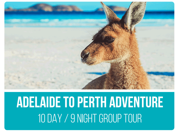 Adelaide-to-Perth-Adventure