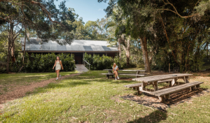 YOUR ULTIMATE PORT STEPHENS EXPERIENCE