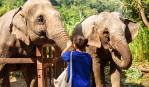 Thinking about Volunteering Abroad? Here are all the reasons why you should