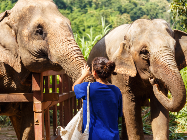 Thinking about Volunteering Abroad? Here are all the reasons why you should