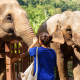 why you should volunteer blog
