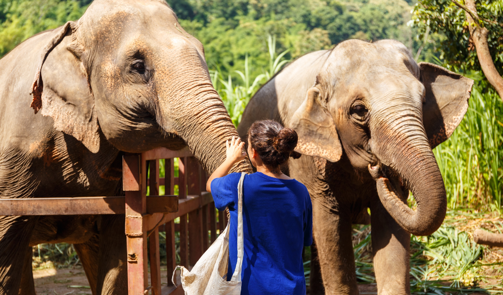 Thinking about Volunteering Abroad? Here are all the reasons why you should