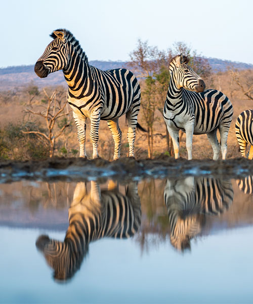 African Safari Adventure Group Tour