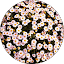 Hannah Birkett Avatar